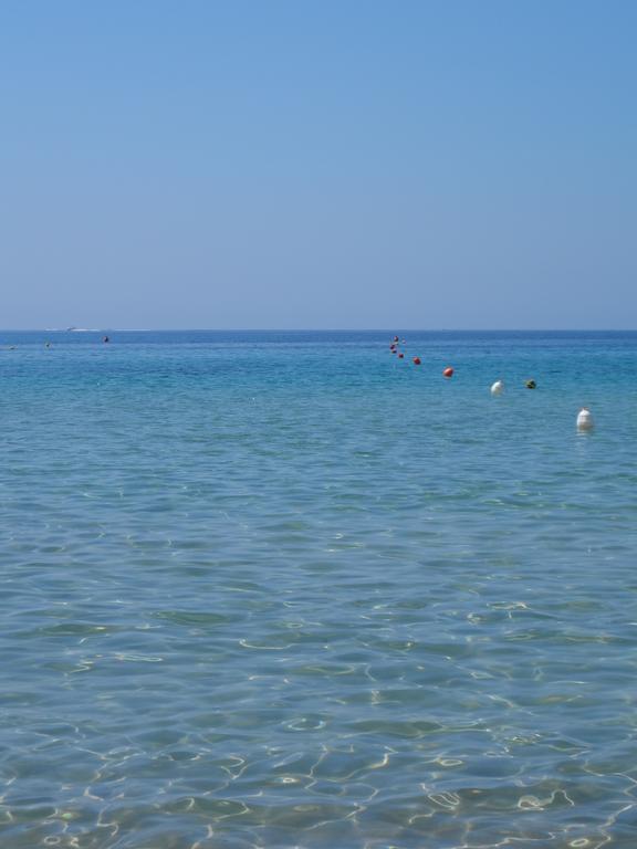 H24 Vacanze Daire Villanova Monteleone Dış mekan fotoğraf