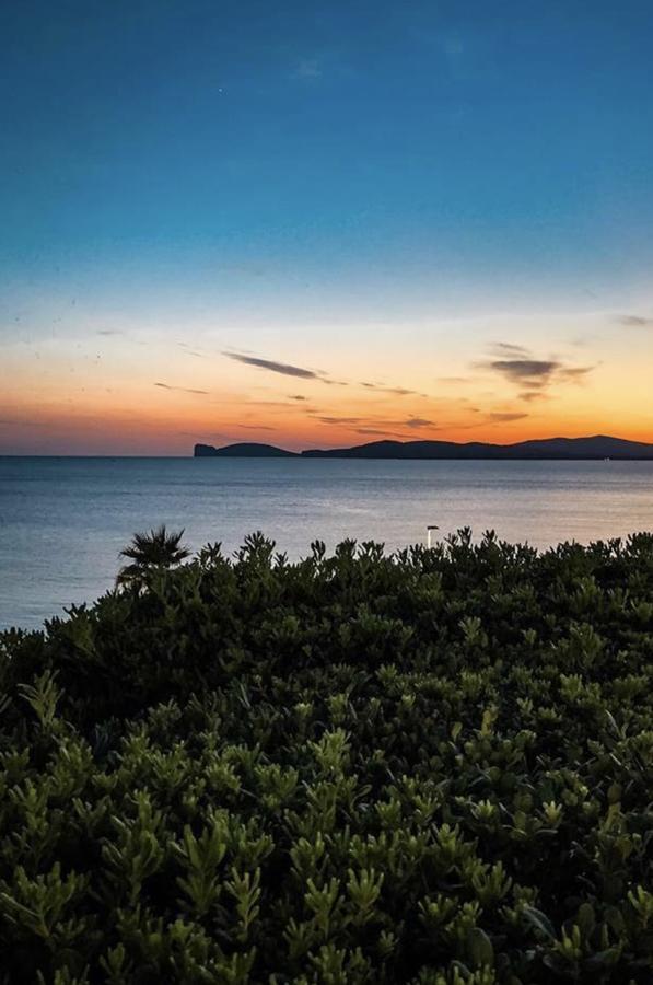 H24 Vacanze Daire Villanova Monteleone Dış mekan fotoğraf