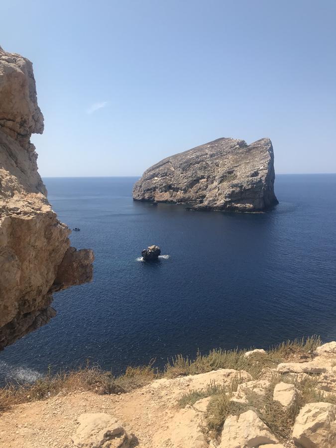 H24 Vacanze Daire Villanova Monteleone Dış mekan fotoğraf